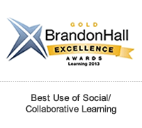 2013 Gold Brandon Hall Group Award for Mentoring Software