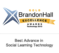 2013 Gold Brandon Hall Group Award for Mentoring and Social Learning Software