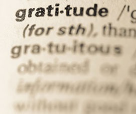 Gratitude in Mentoring