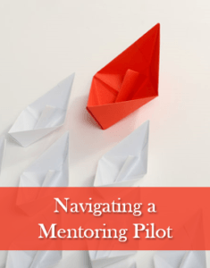 Navigating a Mentoring Pilot eBook cover